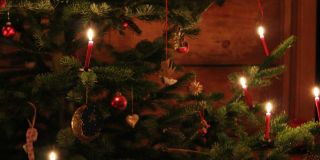 Weihnachtsbaum